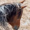 Sunny Denton - @sunnydenton - TikTok