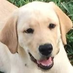 Sonny Dickey - @sonnydickey - Instagram