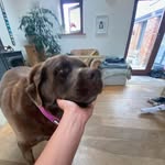 Sonny.donovan - @sonnydonovann - Instagram