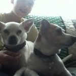 Duffy And Sonny - @duffy.sonny - Instagram