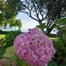 Sonya Durham - Facebook