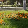 sonnyaeli - @sonnyaeli - TikTok
