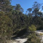 Sonny Faust - @sonny_faust1 - Instagram