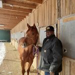 Sonny Fields Performance Horses - @sf_performance_horses - Instagram