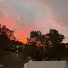 Sonny.fleming - @sonny.fleming - TikTok