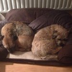 Sonny & Floyd - @sonnyandfloyd - Instagram