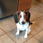Sonny Foster - @sonnyfoster_ - Instagram