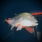 Sonny Foster - @sonny_fishing11 - Instagram