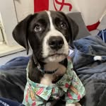Sonny Foster - @sonny_2021_ - Instagram