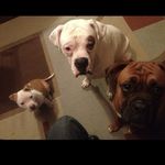 Sonny_and_Frank_spammm - @sonny_and_frank_spammm - Instagram