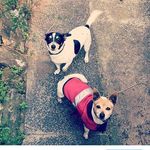 Sonny&frank - @sonny_and_frank - Instagram