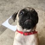 sonnygee - @sonnygee - Instagram