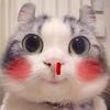 SonnyGordon - @.sonnygordon - TikTok