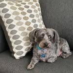 Sonny Grant - @sirsonny82217 - Instagram