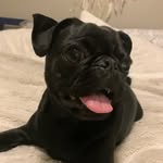 Sonny Hamilton - @sonny_boo_boo2 - Instagram