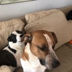 Sonny Helms - Facebook