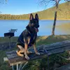 Sonny Hess123454 - @sonny12346789 - TikTok