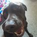Sonny Hicks - Facebook
