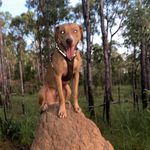 @sonny._hill - Instagram