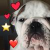 Sonny_hill_xx - @sonny_hill_xx - TikTok
