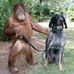 Sonny Hudson - Facebook