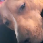 Sonny Hudson - @sonnyhudson184 - Instagram