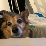 Sonny Hudson - @sonnyh07 - Instagram