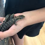 Sonny Johnson - @sonny_animals - Instagram