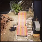 Sonny Mcdonald - @mcdonald_sonny - Instagram