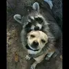 Nelson_sonny - @nelson_sonny - TikTok