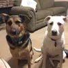 sonnyvang743 - @sonnyvang743 - TikTok