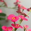 Sonu Abraham - @sonu.abraham - TikTok