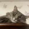 sony - @sonyyalex - TikTok