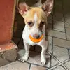 SonyLunaTapia - @sonylunatapia - TikTok