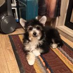 argo
_and_sonya - @argo_and_sonya - Instagram