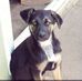 Sonya Armstrong - Facebook