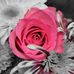 Sonia Ashby - Facebook