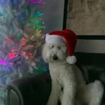 Sonya Barnett Mull - @sonyabmull - Instagram