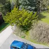 Sonya Schuhbauer - @sonya.schuhbauer - TikTok