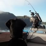 Sonia Bélanger - @sosdgflicflac - Instagram