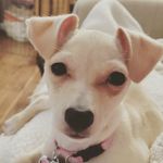 Sonya Bennett - @jchs_asb - Instagram
