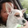 Sonya m Berry - @sonyamberry175 - TikTok