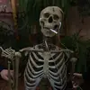 Дура - @sonyaeblan - TikTok