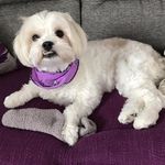 Sonia Bouchard - @sonia.bouchard.961 - Instagram