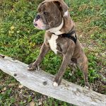 Sonia Boudreau - @boudreau4620 - Instagram