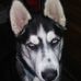 Sonya Boudreau - Facebook
