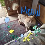 Sonya Boyer - Facebook
