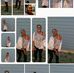 Sonia Burns - Facebook