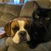 Sonya Burns - Facebook
