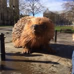 Sonya Chamberlain - Facebook